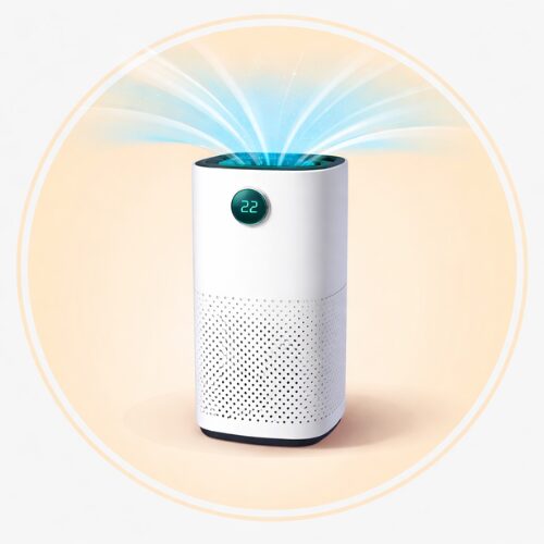 Air Purifiers